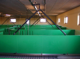 Système de cloisonnement de Paneltim avec dispositif de distribution des aliments liquides intégré