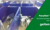 Paneltim voor hokafscheiding voor geiten - ontdek meer op Agriflanders stand 5322