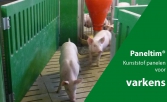 Paneltim voor hokafscheiding voor varkens - ontdek meer op Agriflanders stand 5322